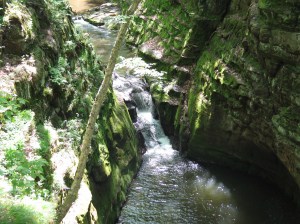 Pewitts Nest 047