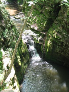 Pewitts Nest 048