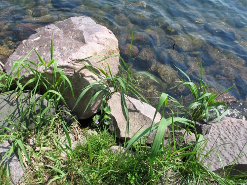 Devils Lake West and Durwards Glen 043