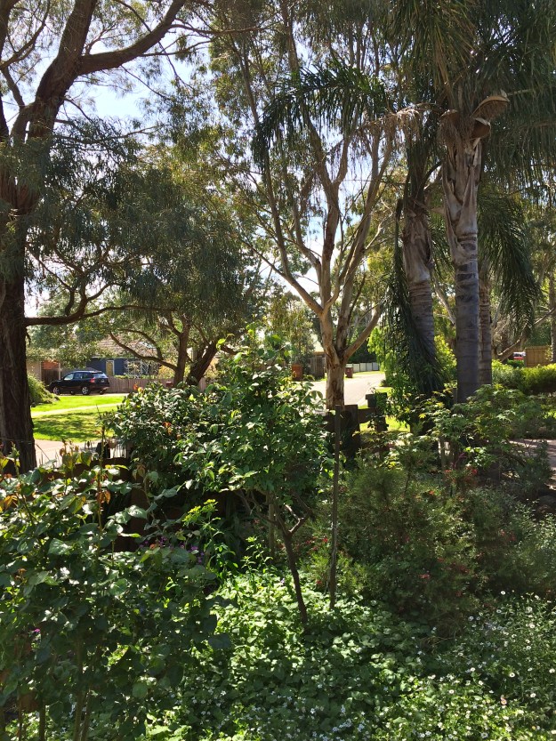 Front garden