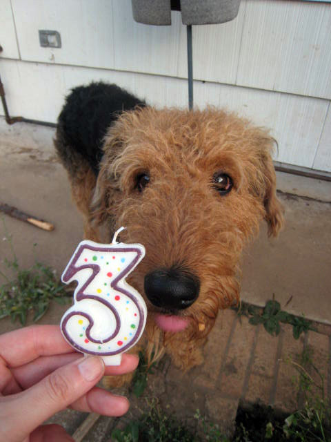 Birthday boy