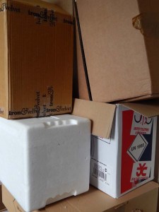 Living on the boxes