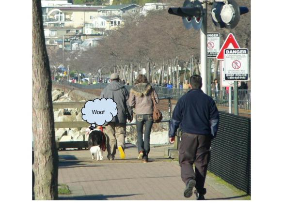 Dog walker