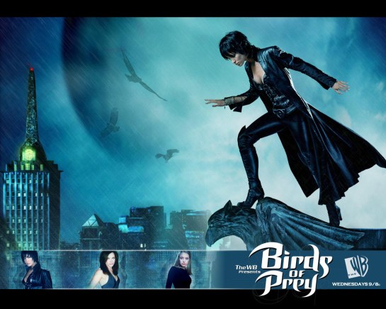 Birds Of Prey
