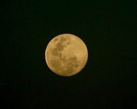 IMG_1537.JPG