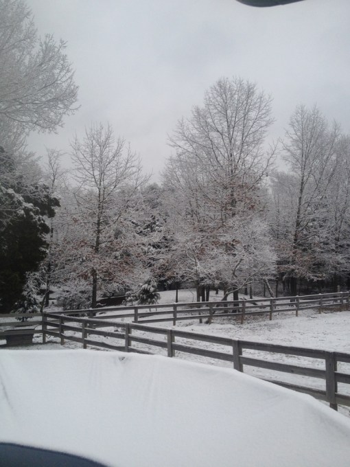 20121229-092016.jpg