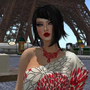Paris in the summer Paris in the summer