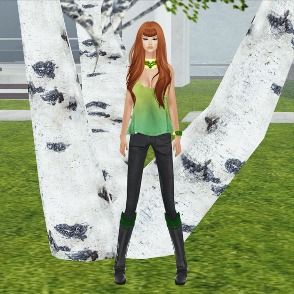 ombre_008a