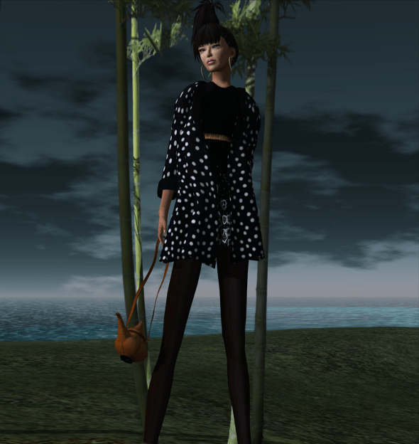 Liv-Glam "Lea" Print Dress and Jacket Snapshot_003a