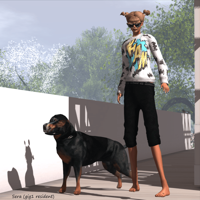 Newness from ChicZafari, XIAJ, and Vanity Hair Snapshot_001 copy