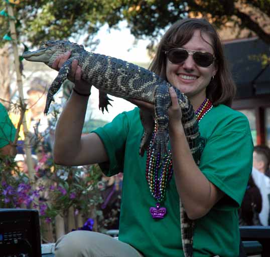 mardigras11