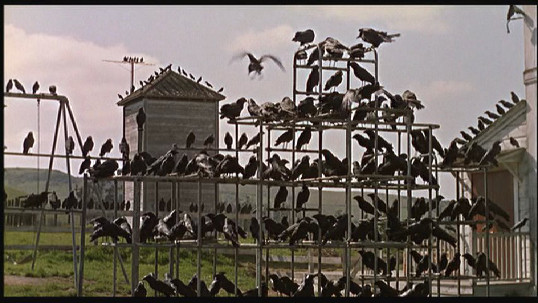 The Birds, Hitchcock