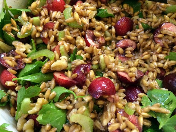 FinishedFarroCherrySalad