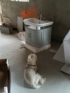 Jacques finding beauty in the mundane