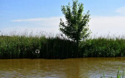 From challenge to opportunity: Transforming water management in the Mediterranean