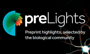 preLights logo preLights logo