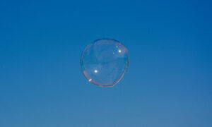 | SciELO em Perspectiva