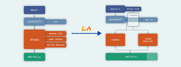 Flutter vs React Native architecture