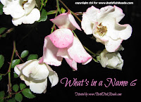 What's in a Name 6 hosted by www.BethFishReads.com