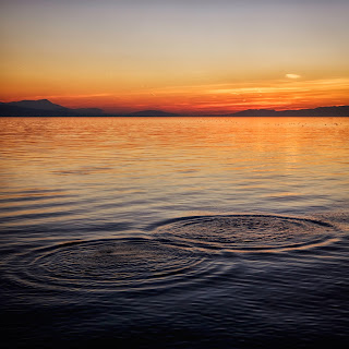 Photo by Olivier Fahrni on Unsplash