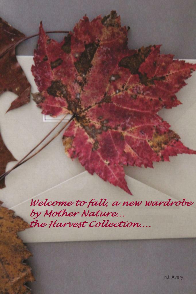 leaf poem_compressed2