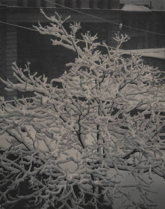 Steiglitz_Out of the window
