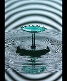 fountain of youth