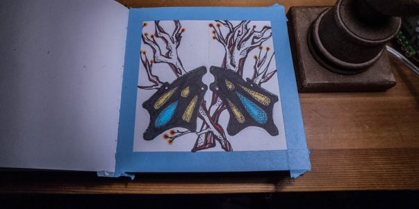 Blue butterfly wings