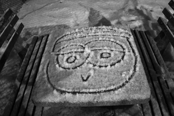 Snow Face
