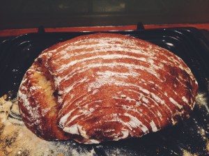 This is the loaf that resulted from my stinky starter!