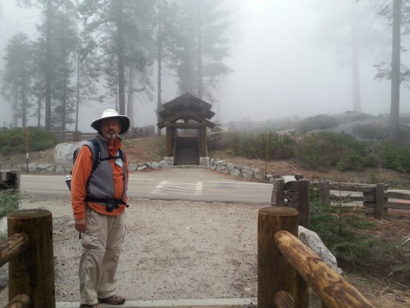 Heavy fog/mist makes the drive down challenging.