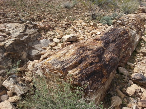 wpid-20140310_143915.jpg