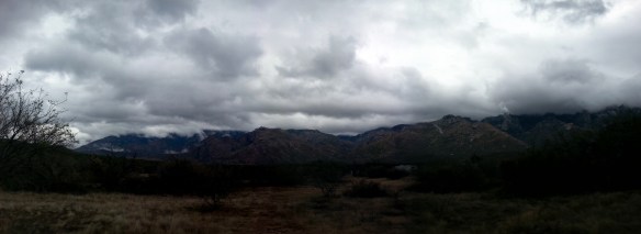 20150130_143938