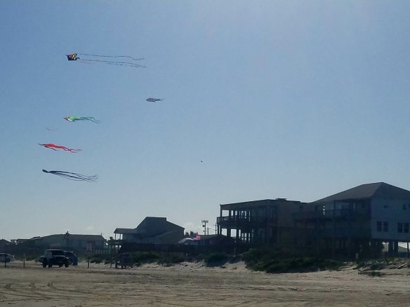 20180417_170808823855851.jpg