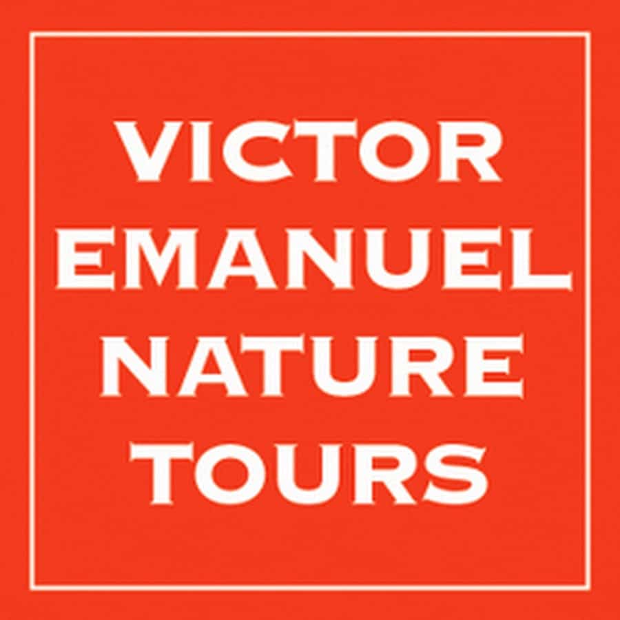Canopy Family | VENT Birdletter: Panama's Canopy Tower: A Wonder of the Birding World