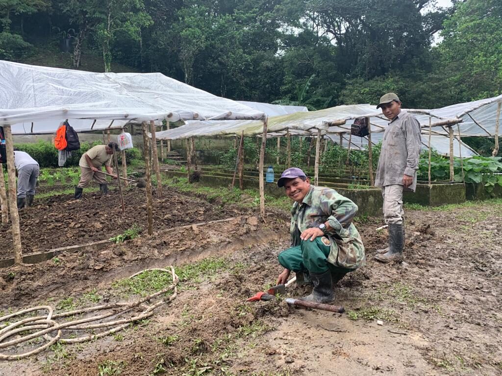 Agriculture at the Canopy Lodge