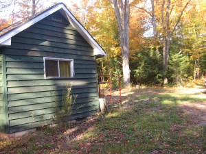 The Property