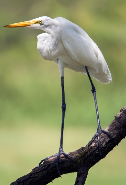 DSC_2819-Edit