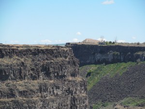 IMG_1065