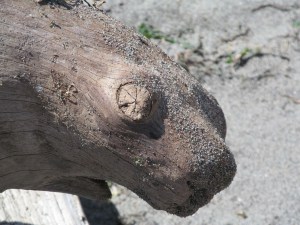 IMG_1109