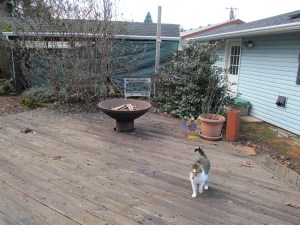 IMG_1303