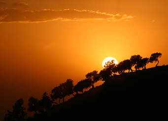 sunrise