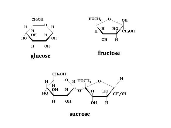 Glucose, fructose, sucrose Glucose, fructose, sucrose