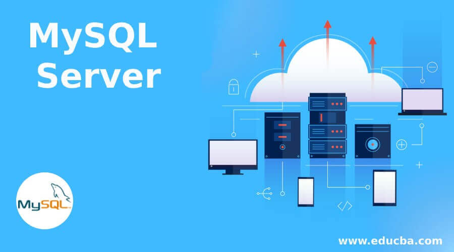 MySQL ConnectorPython Revealed SQL and NoSQL Data Storage