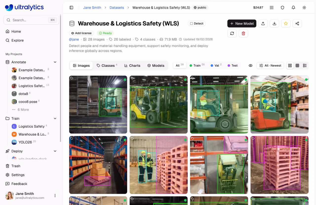 Captura de pantalla de conjunto de datos de la Plataforma Ultralytics