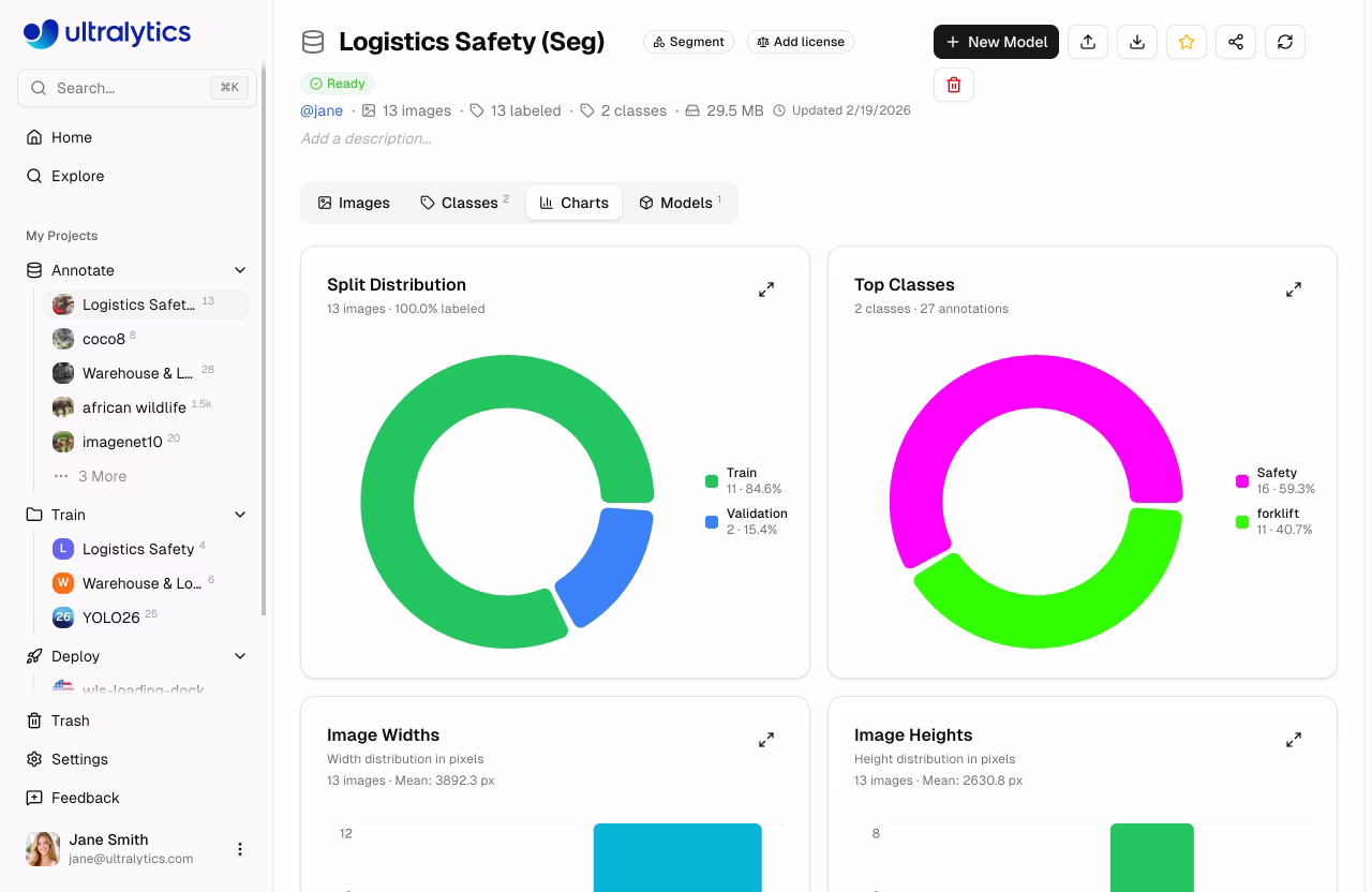 Ultralytics Platform Datasets Charts Tab Statistics Grid
