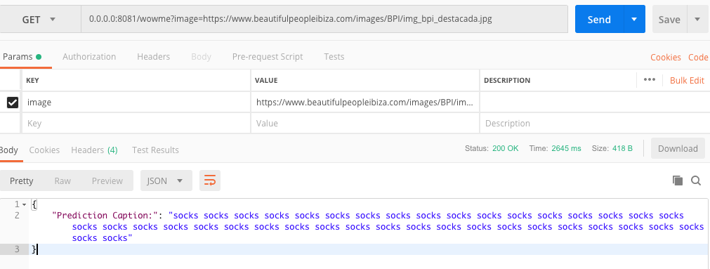 generating-automated-image-captions-using-nlp-and-computer-vision-tutorial-img-6