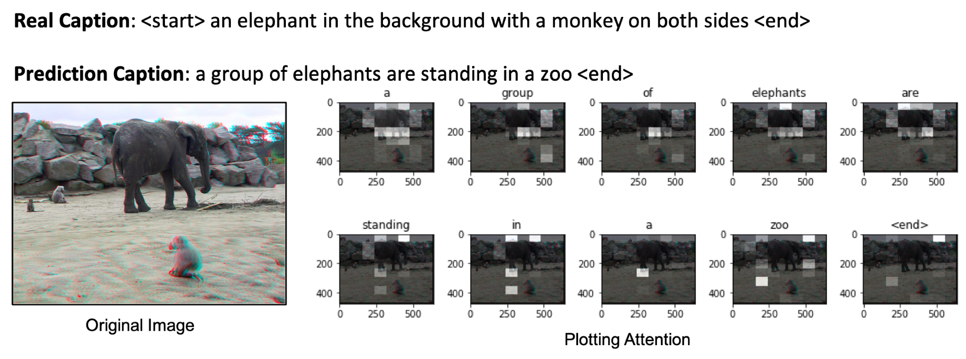 generating-automated-image-captions-using-nlp-and-computer-vision-tutorial-img-4