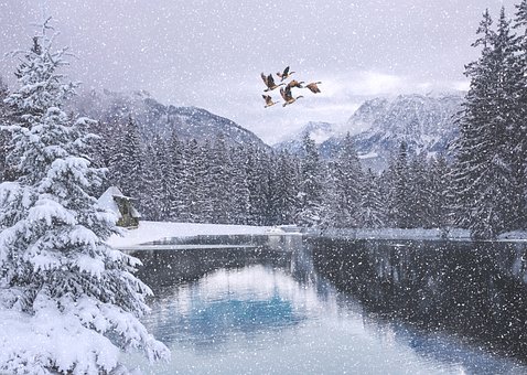 Free photos of Winter
