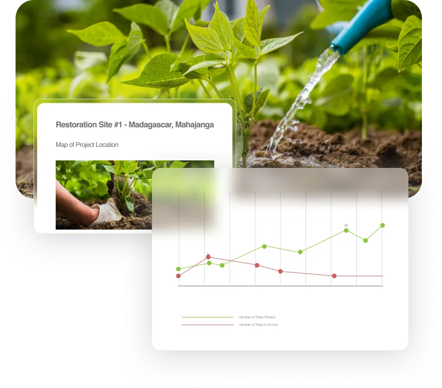 Watering plants as part of ongoing reforestation efforts to support sustainable growth and environmental restoration with Reduce Reuse Grow.